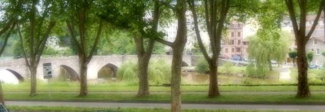 D'un weekend à l'autre , une visite autour des jardins de la capitale limougeaude (1/2)
