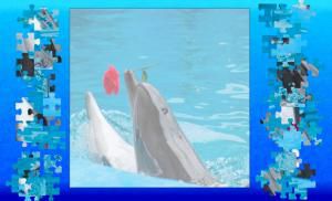 Oceandesjeux - Dolphin in love jigsaw puzzle