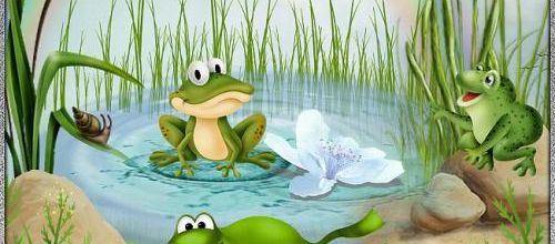  Une vie de grenouille 