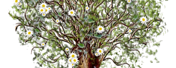 Ѽ Vegetation 