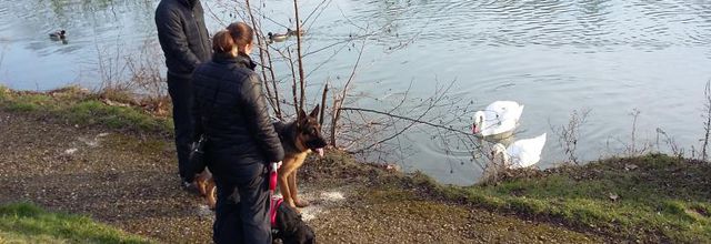 balade du dimanche sur les bords de marne 