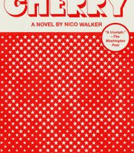 Search pdf books free download Cherry: A novel 9780525520139 (English Edition)