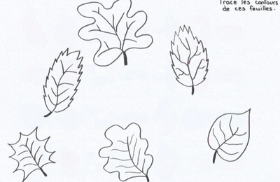 Graphisme : contours de feuilles d’automne (GS)