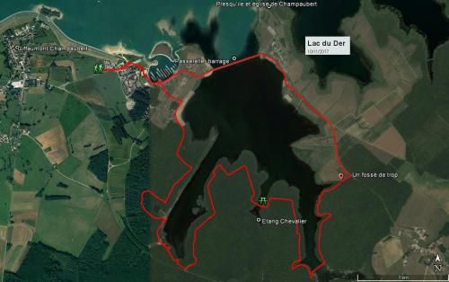 "Le Lac du Der" - Vendredi 10 novembre 2017
