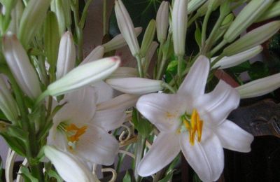 "Mangeurs de fleurs" ...