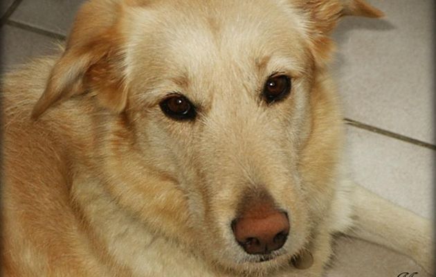 Le 26 septembre 2025 : le tour de Rubia