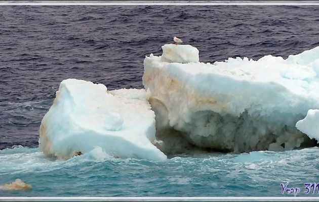 3 septembre 2016 : mouillage devant Point Barrow (Alaska) pour les formalités d'entrée sur le territoire des USA, 71° 18' 22" Nord, 156° 47' 57" Ouest