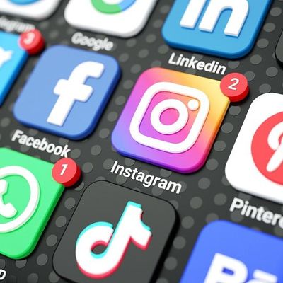 L'influence des réseaux sociaux.