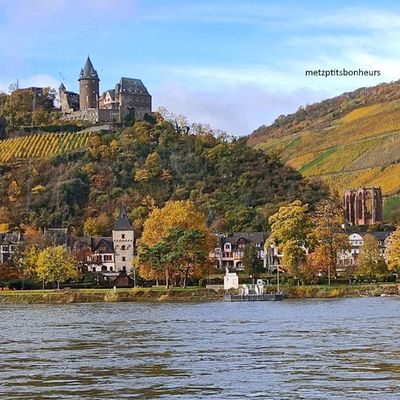 Croisière sur le Rhin...