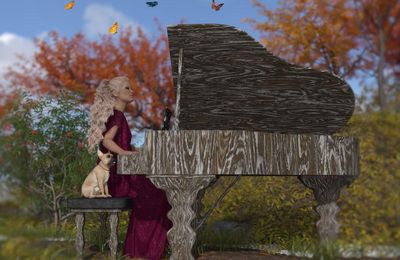 Fond d'écran : Quelques notes de musique en plein air