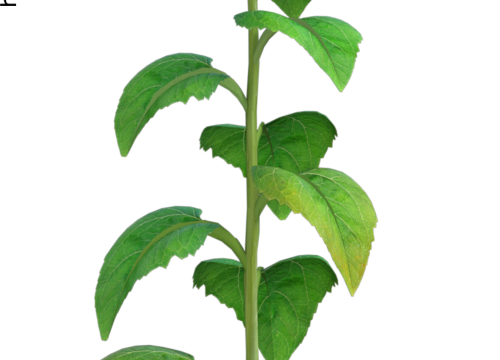 Tube de "tournesol" rouge (render-image)