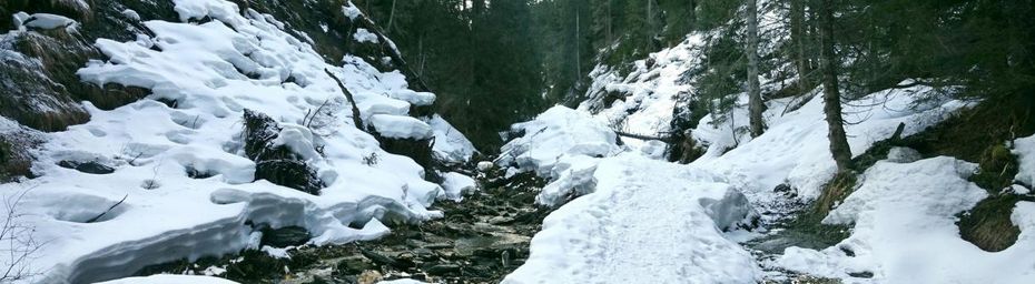 Échec et Mat à la Zorinche