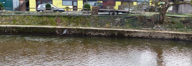 Entre l'Ourthe & l'Aisne