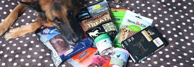  Bien choisir ces friandises pour l'éducation / sport canin