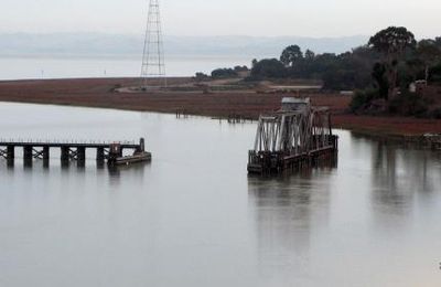 Carte postale N°7 : Le delta en question