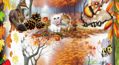 CADRE NATURE ANIMAUX