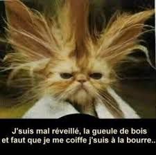 Gueule de bois