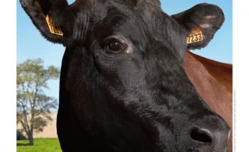 Filouse, égérie de l'édition 2015 du Salon International de l'Agriculture