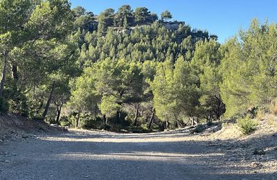 Les Barres du Saint Esprit par le sentier Pierre Tchernia