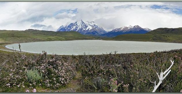 Lago Amarga - Torres del Paine - Patagonie - Chili
