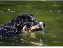 Retour à la rivière... Youpiiiiiii !