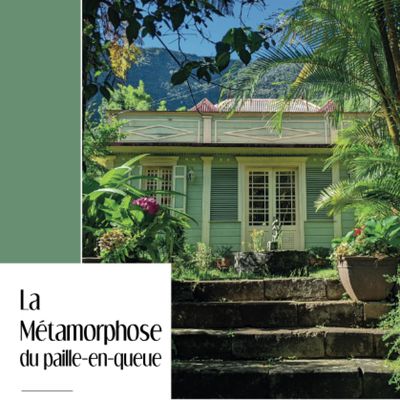 La métamorphose du paille-en-queue