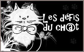 Leçon de Géométrie !