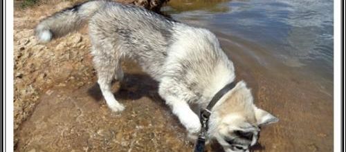 A l'eau ! (11 mai 2013)