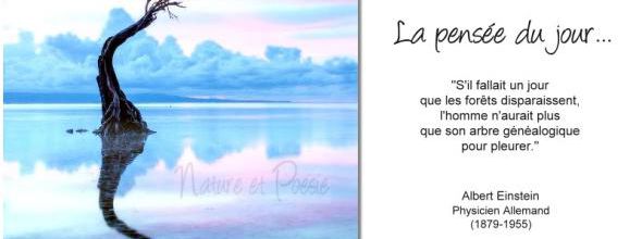 La pensée du jour (41)
