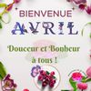 carte Hobby dot 
