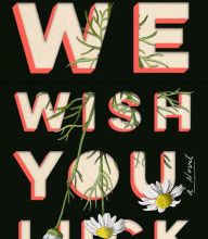 Download PDF We Wish You Luck: A Novel