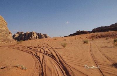 Jordanie (14) Wadi Rum 3
