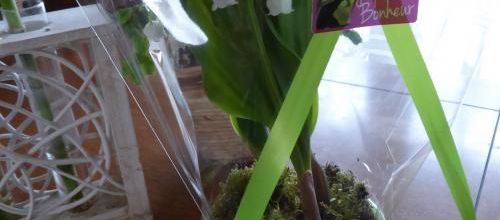 Brin de muguet
