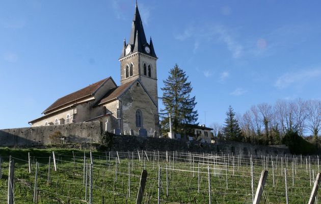 Le 1er mars : De retour de Bourg en Bresse par les petites routes - 2