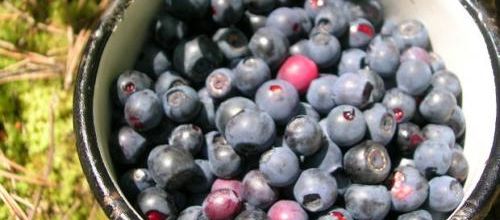 5 Foods to Eat for Healthy Skin