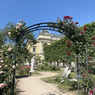 Le Jardin des Plantes