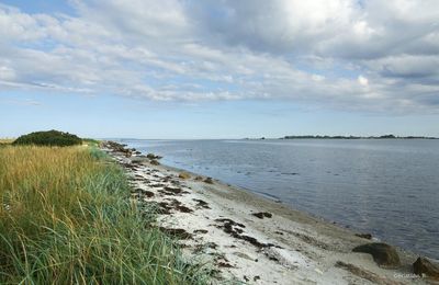 Carnets du Danemark ~ Au bord de l’eau