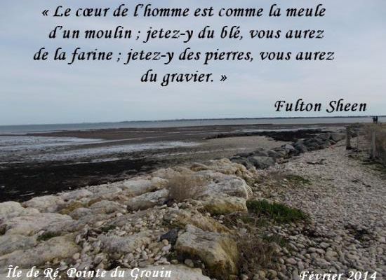 Citations en images : Le coeur de l'homme