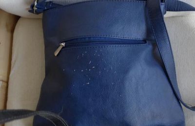 Un sac griffé...