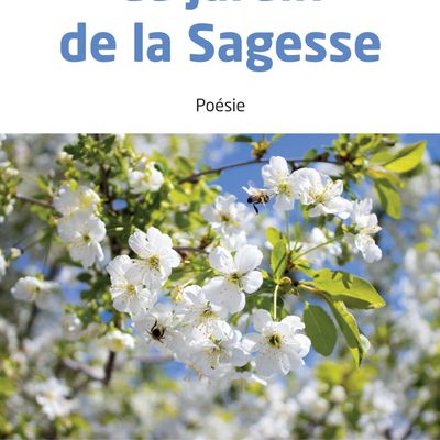 Entretien avec l'auteur LE JARDIN DE LA SAGESSE, Aurélien Madec