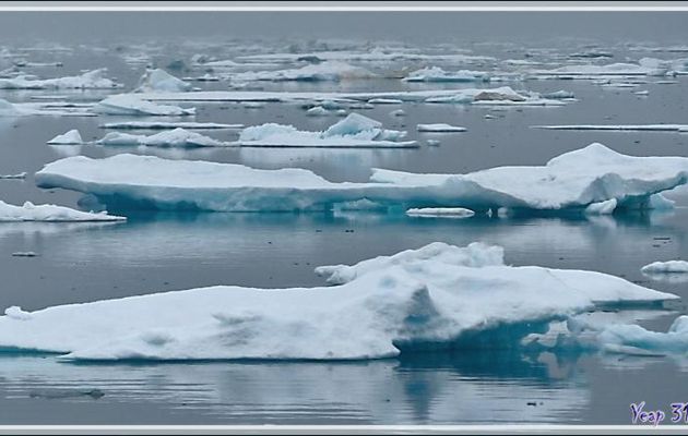 Derniers émerveillements dans la Mer des Tchouktches - Alaska