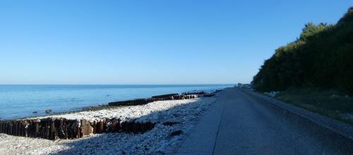 suite le havre