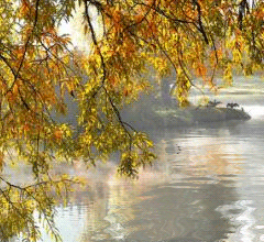 IMAGES D'AUTOMNE ANIMEES