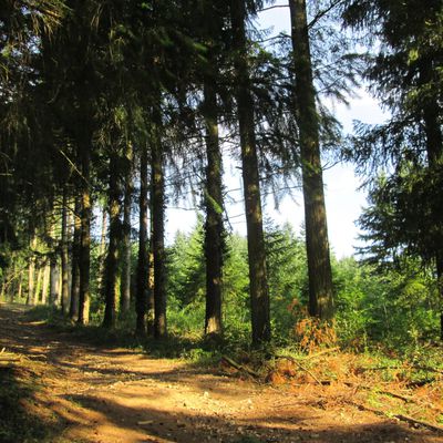 Gelay à Allières dans le Rhône.