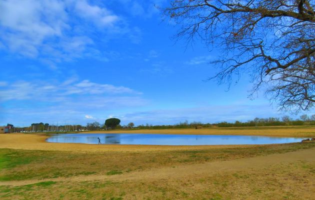 le lac du Teich - APN