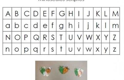 Brevet carottes alphabétiques