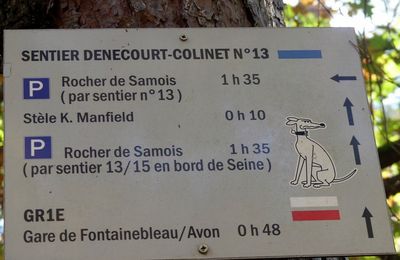 Dans la forêt de Fontainebleau (2/3)