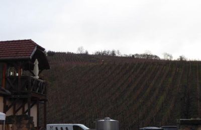 Marchés de Noël à Riquewihr le 08/12/18