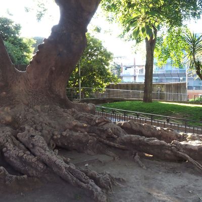 Sorrente + promenade en ville +
