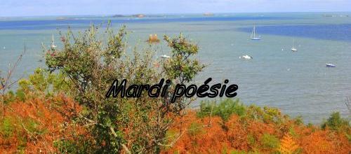  Poésie  le mardi 